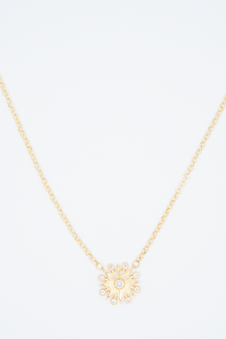 Star Oriental Necklace