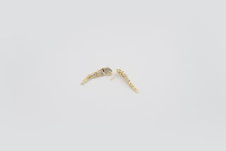 Canyon Earring
