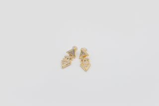 Vip Luxury Earring - 17