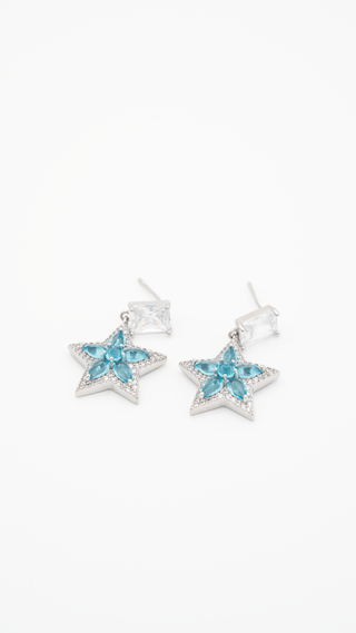 Star Stone Earring